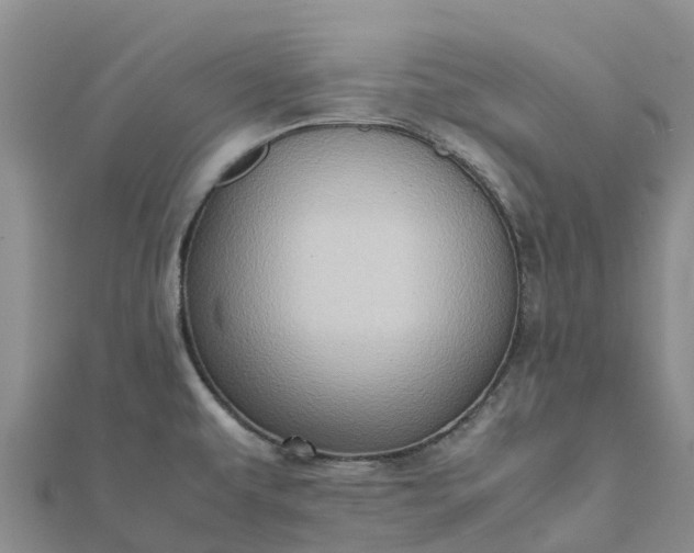 X0000112091479200908181253