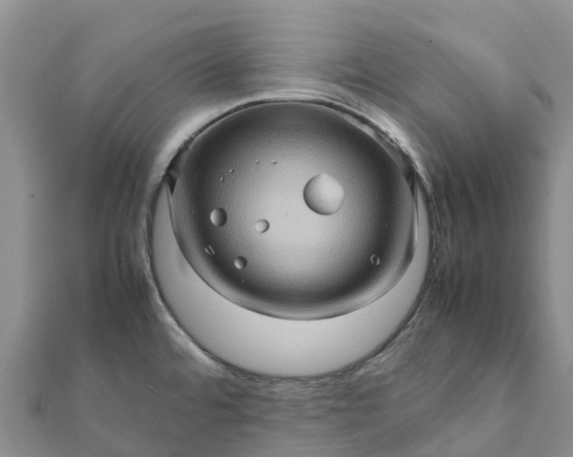 X0000112091480200908181253