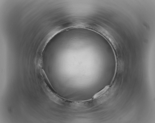 X0000112091481200908181253