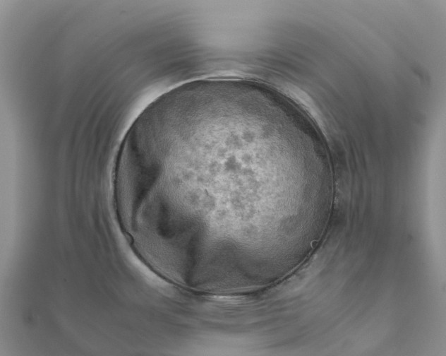 X0000112091483200908181253