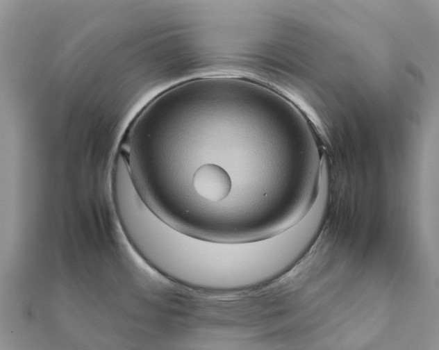 X0000112091484200908181253