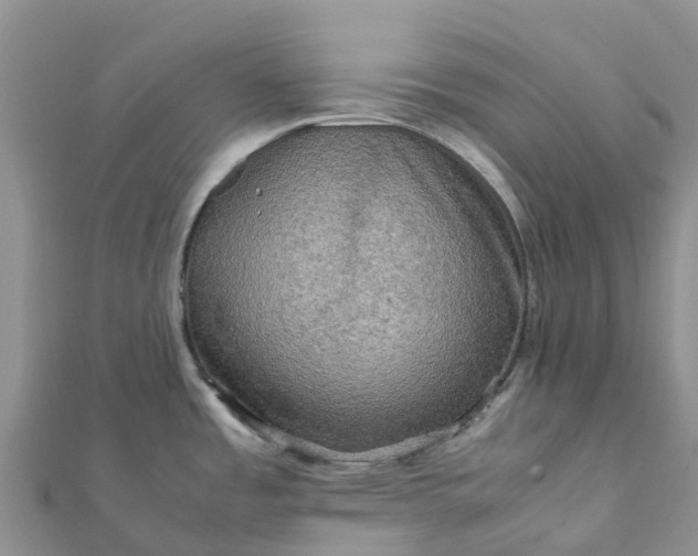 X0000112091485200908181253