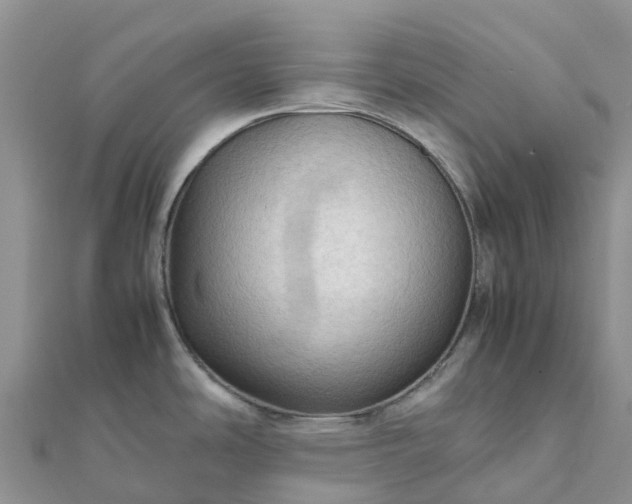 X0000112091486200908181253