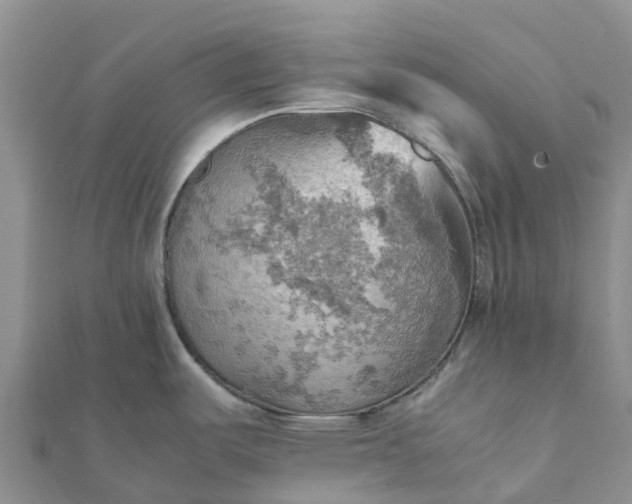 X0000112091487200908181253