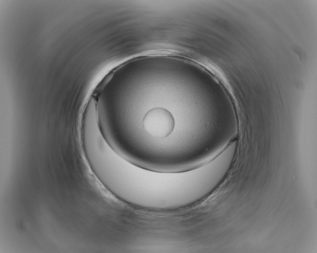 X0000112091488200908181253