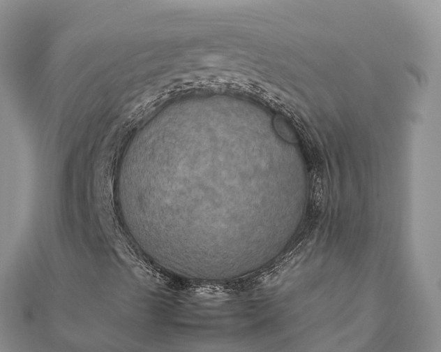 X0000112091489200908181252