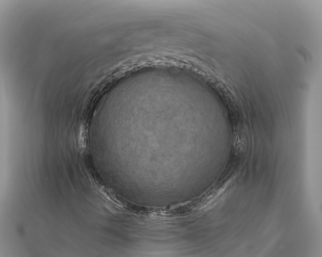 X0000112091490200908181252