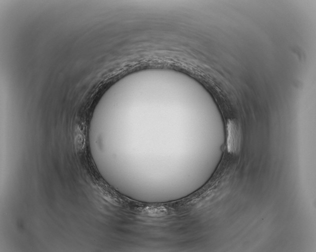 X0000112091491200908181252