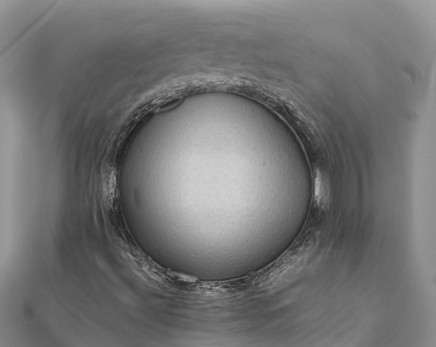 X0000112091492200908181252