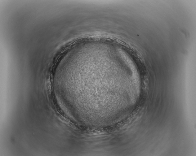 X0000112091493200908181252