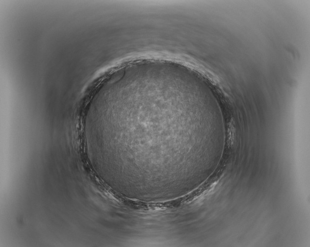 X0000112091494200908181252