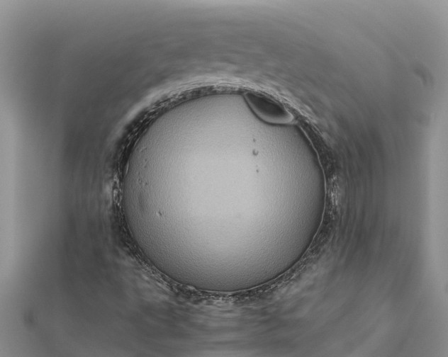 X0000112091495200908181252