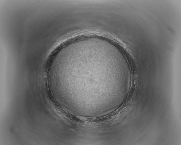 X0000112091496200908181252