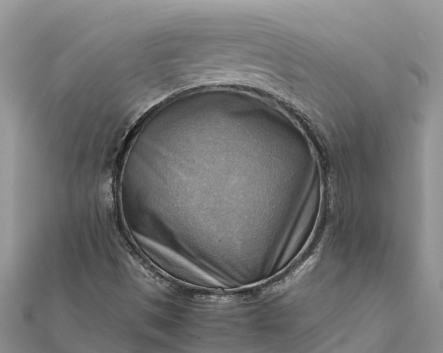 X0000112091497200908181252