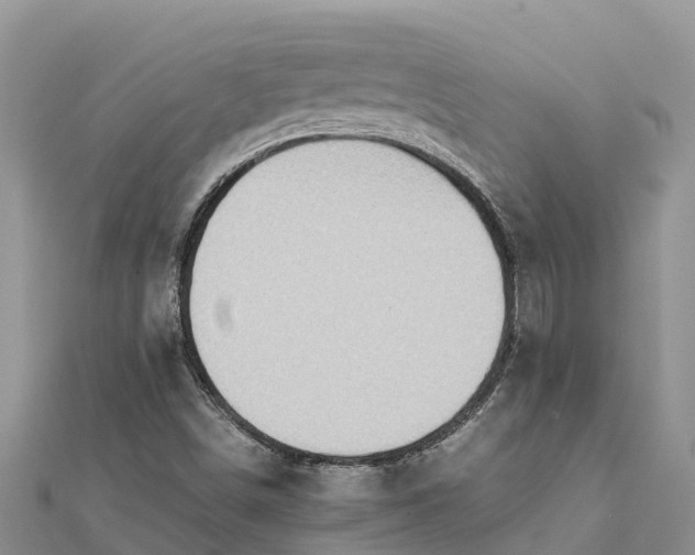 X0000112091498200908181252