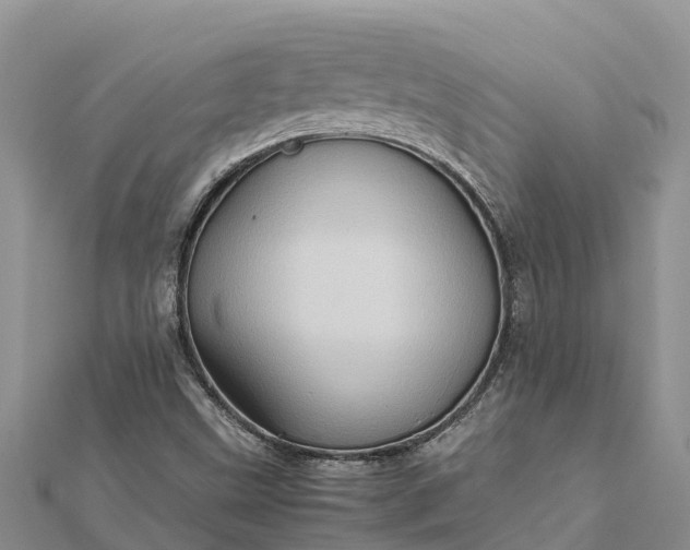 X0000112091499200908181252