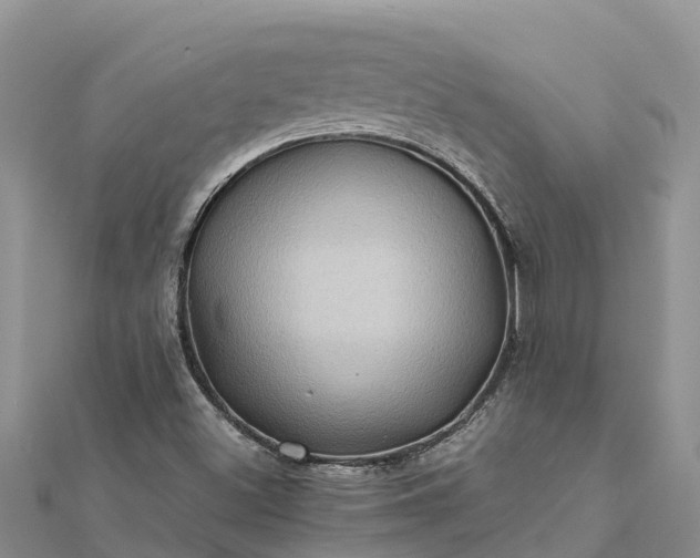 X0000112091500200908181252