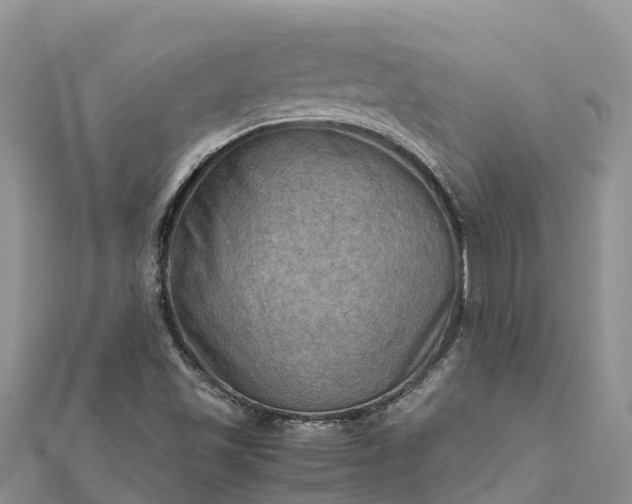 X0000112091501200908181252