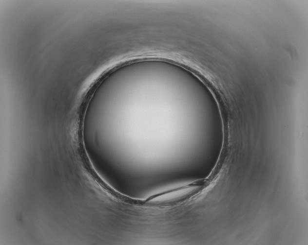 X0000112091502200908181252