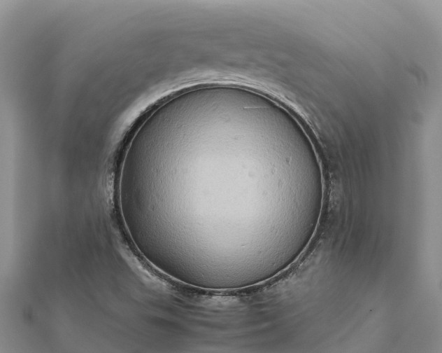 X0000112091503200908181252