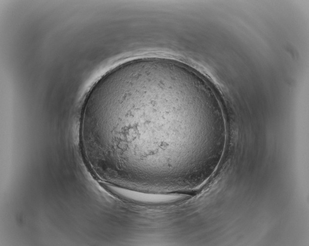 X0000112091504200908181252