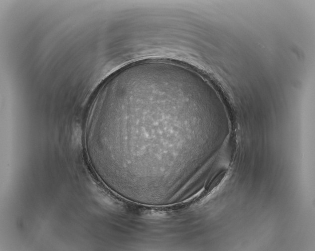 X0000112091505200908181252