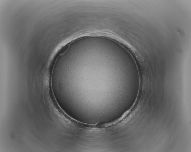 X0000112091506200908181252