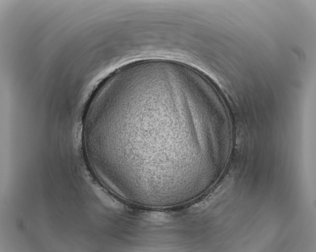 X0000112091507200908181252