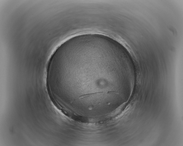 X0000112091508200908181252