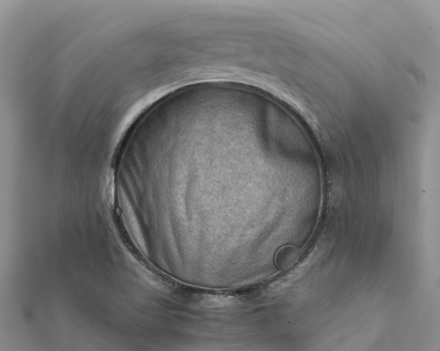 X0000112091509200908181252