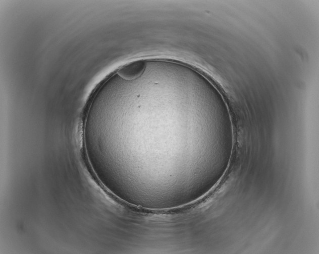 X0000112091510200908181252