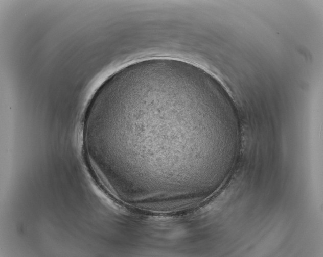 X0000112091511200908181252