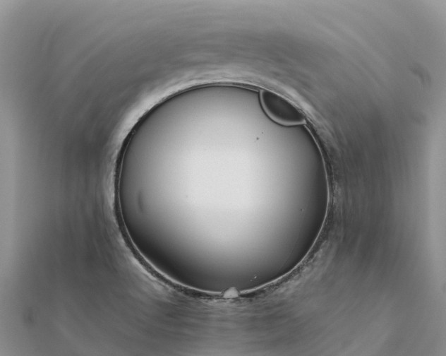 X0000112091512200908181252