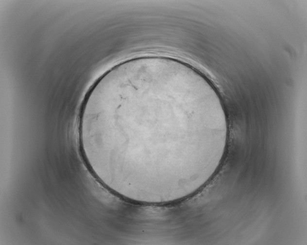 X0000112091514200908181252