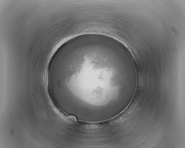 X0000112091515200908181252