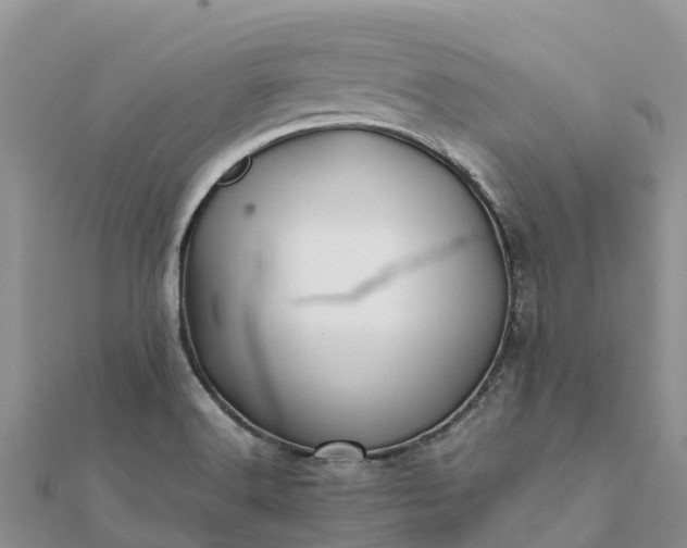 X0000112091516200908181252