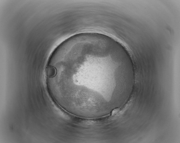 X0000112091517200908181252