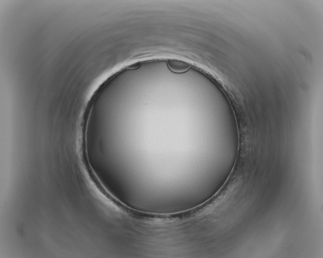 X0000112091518200908181252