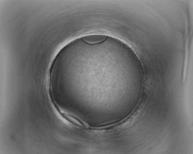 X0000112091519200908181252