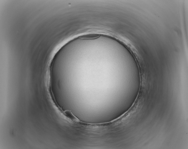 X0000112091520200908181252