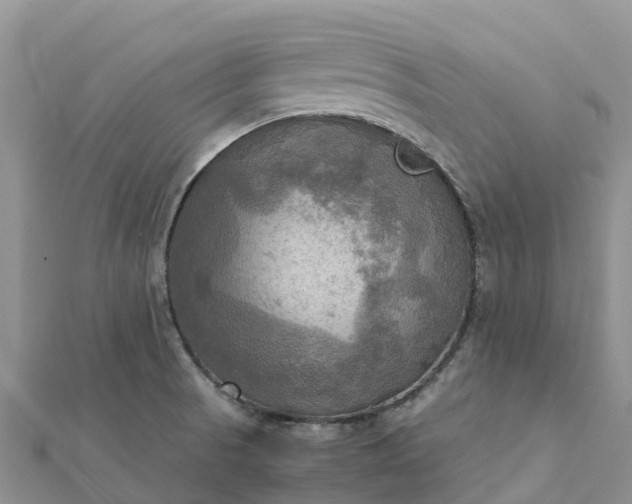 X0000112091521200908181252