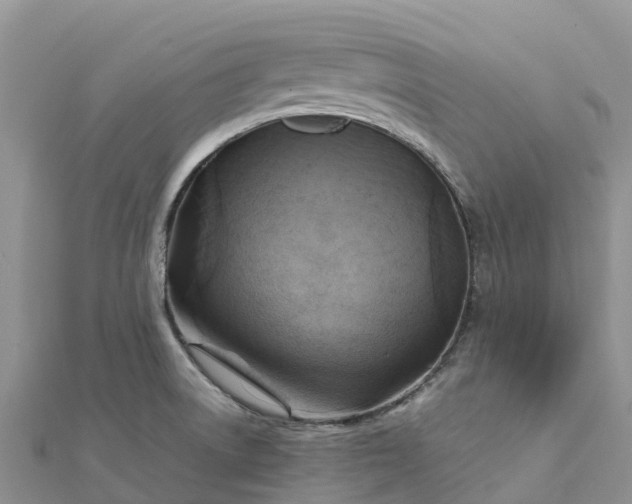 X0000112091522200908181252