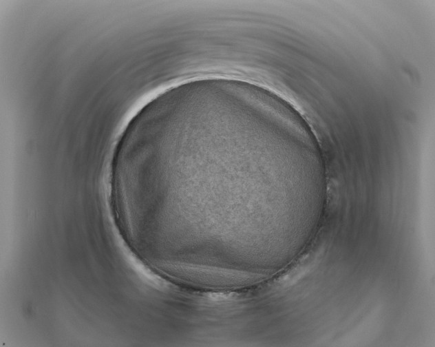 X0000112091523200908181252