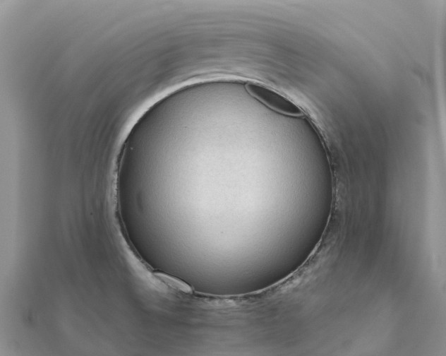 X0000112091524200908181252