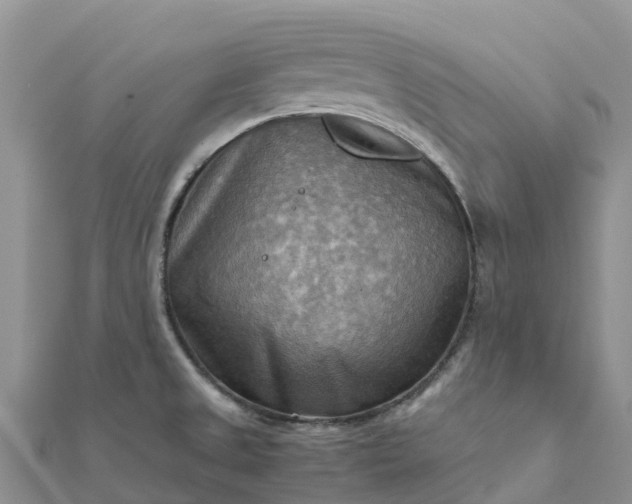 X0000112091525200908181253