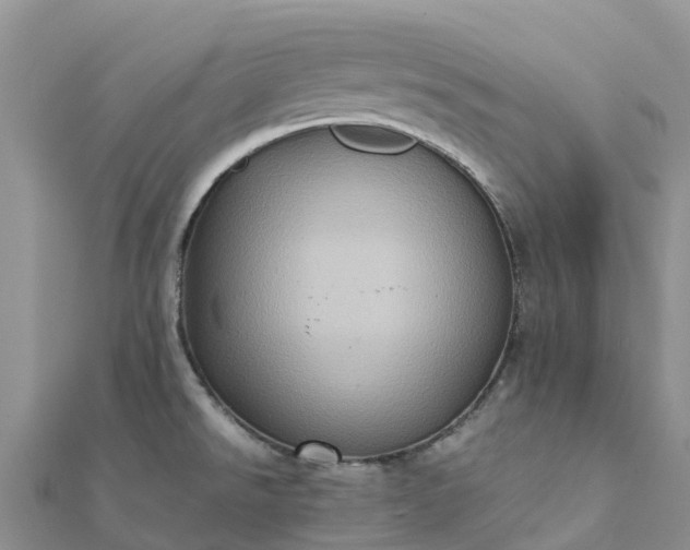 X0000112091526200908181253