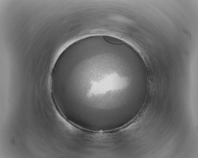 X0000112091527200908181253