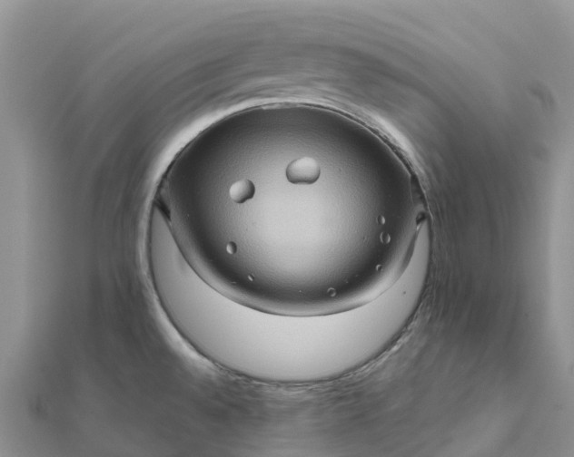 X0000112091528200908181253