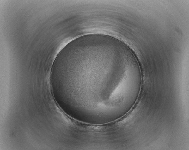 X0000112091529200908181253