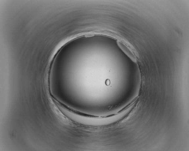 X0000112091530200908181253